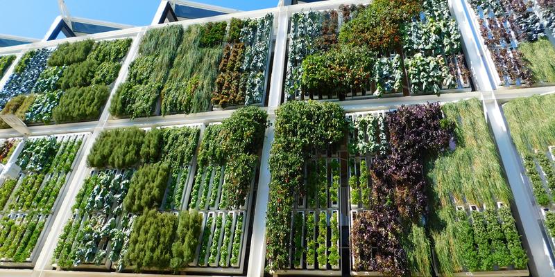 verticale tuin binnen aanleggen